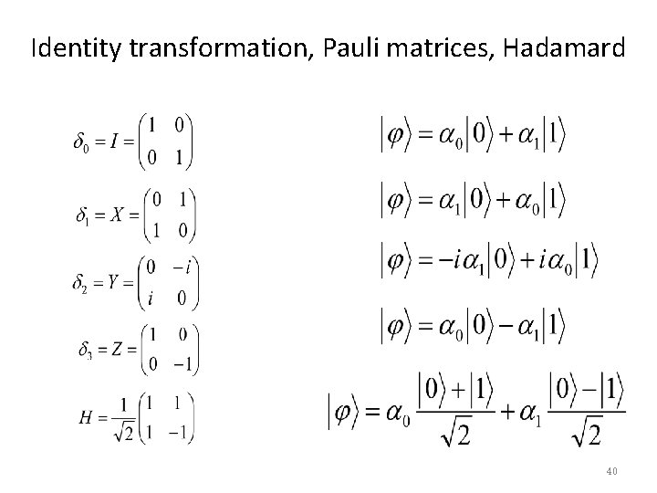 Identity transformation, Pauli matrices, Hadamard 40 