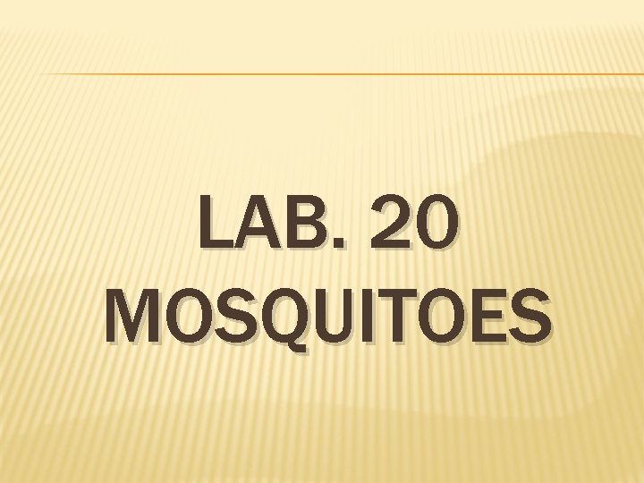 LAB. 20 MOSQUITOES 