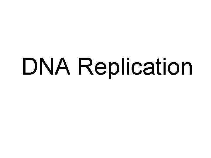 DNA Replication 