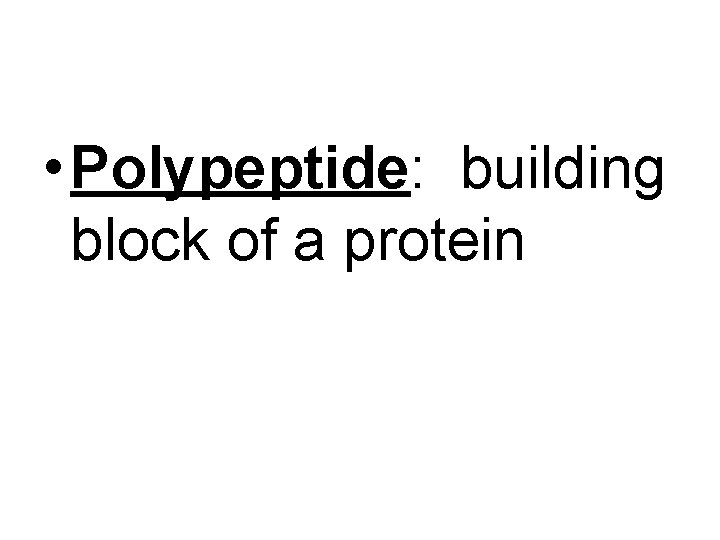 • Polypeptide: building block of a protein 