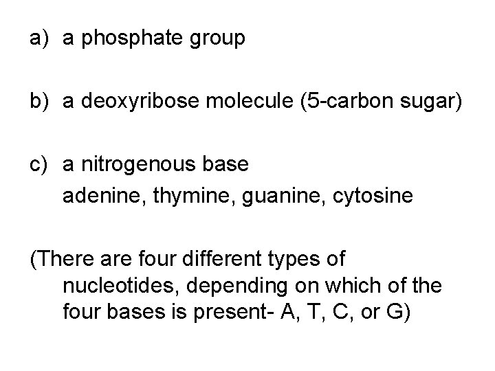 a) a phosphate group b) a deoxyribose molecule (5 -carbon sugar) c) a nitrogenous