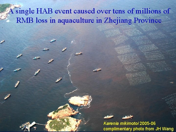 A single HAB event caused over tens of millions of RMB loss in aquaculture