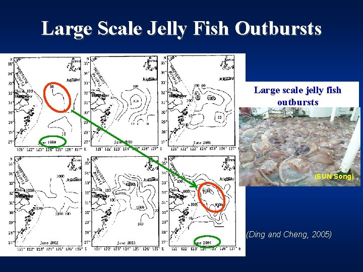 Large Scale Jelly Fish Outbursts Large scale jelly fish outbursts (SUN Song) (Ding and