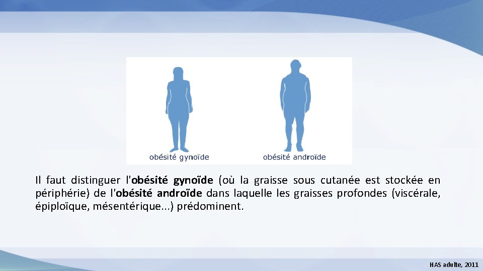 Il faut distinguer l'obésité gynoïde (où la graisse sous cutanée est stockée en périphérie)