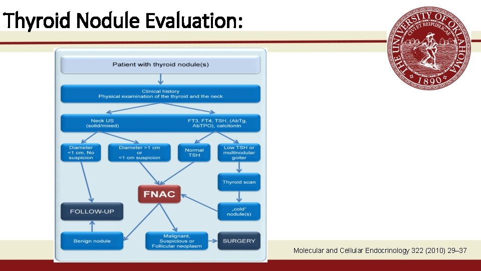 Thyroid Nodule Evaluation: Molecular and Cellular Endocrinology 322 (2010) 29– 37 