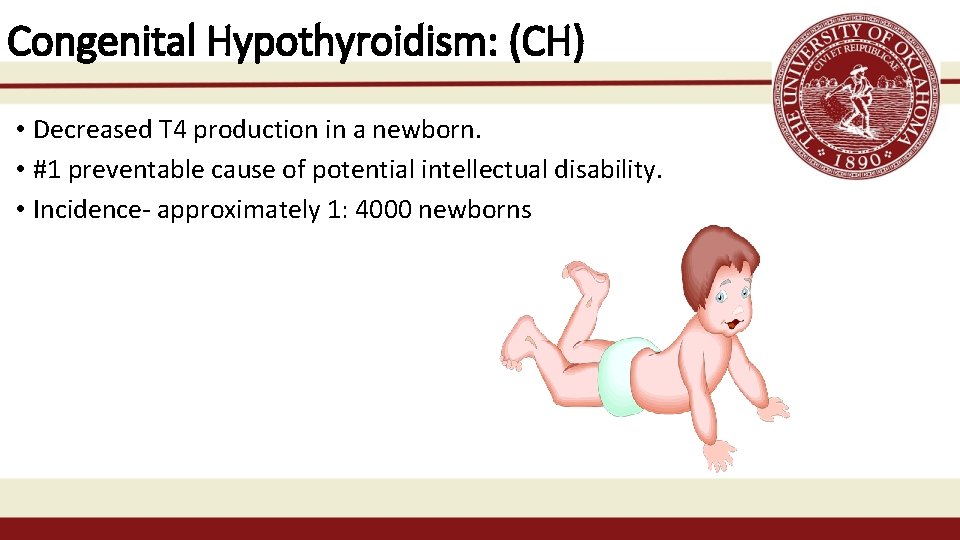 Congenital Hypothyroidism: (CH) • Decreased T 4 production in a newborn. • #1 preventable