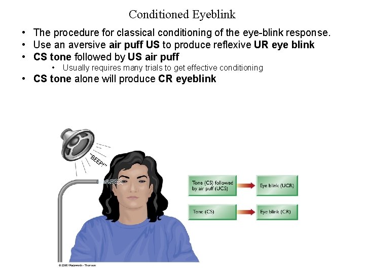 Conditioned Eyeblink • The procedure for classical conditioning of the eye-blink response. • Use