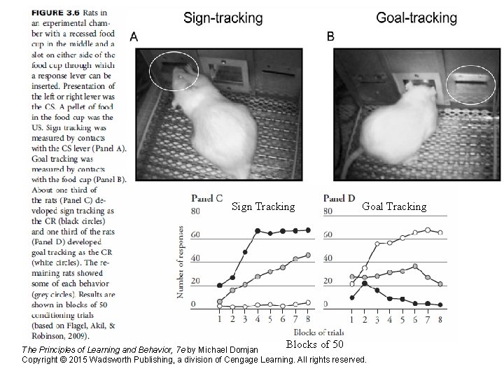 Sign Tracking Blocks of 50 Goal Tracking The Principles of Learning and Behavior, 7