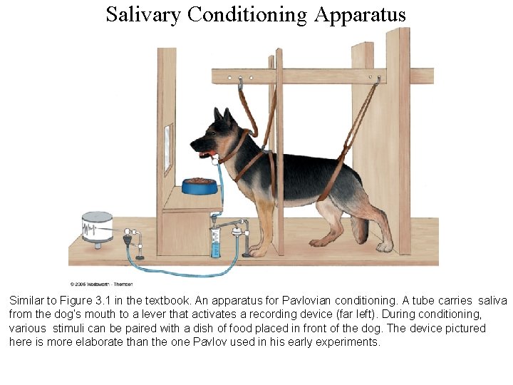 Salivary Conditioning Apparatus Similar to Figure 3. 1 in the textbook. An apparatus for