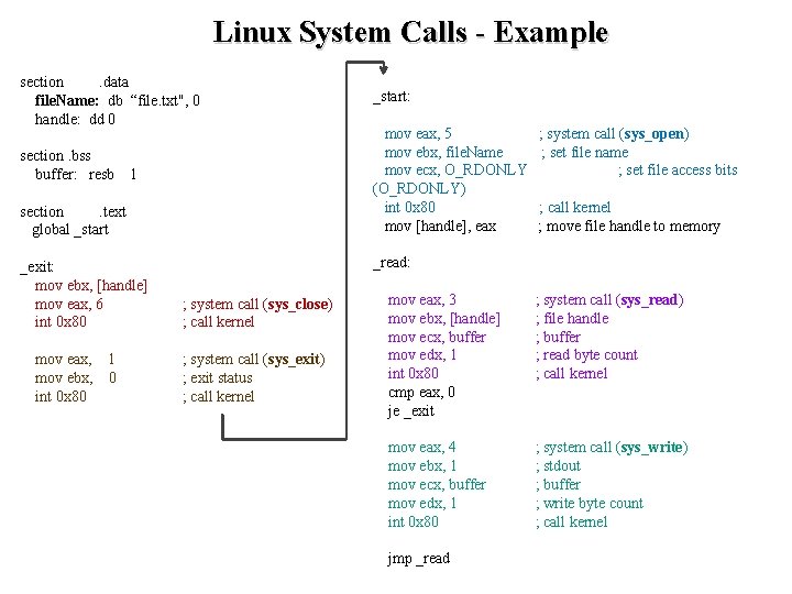 Linux System Calls - Example section. data file. Name: db “file. txt", 0 handle: