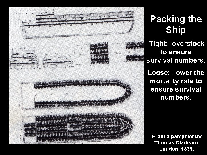 Packing the Ship Tight: overstock to ensure survival numbers. Loose: lower the mortality rate