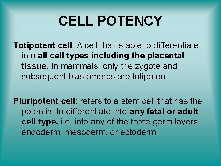 CELL POTENCY Totipotent cell: A cell that is able to differentiate into all cell