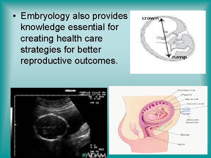  • Embryology also provides knowledge essential for creating health care strategies for better