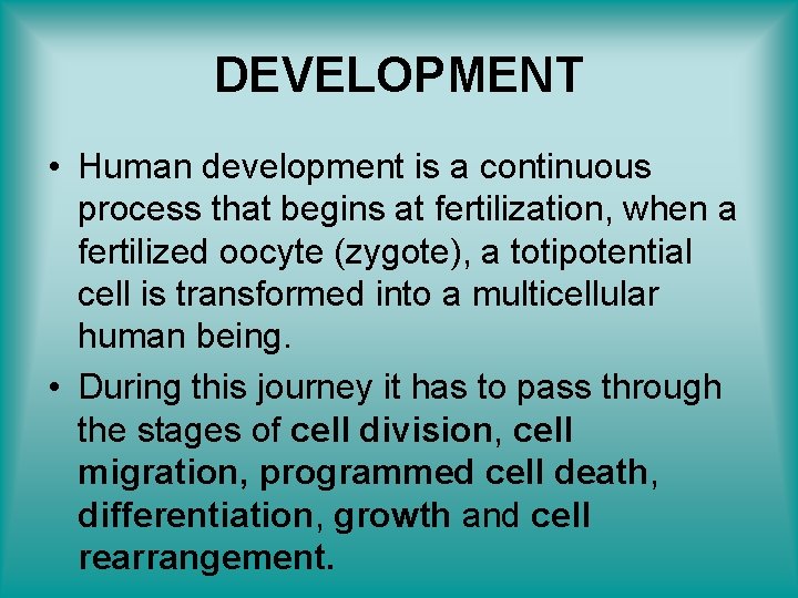 DEVELOPMENT • Human development is a continuous process that begins at fertilization, when a