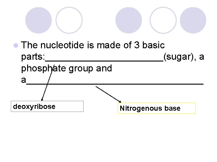 l The nucleotide is made of 3 basic parts: ___________(sugar), a phosphate group and