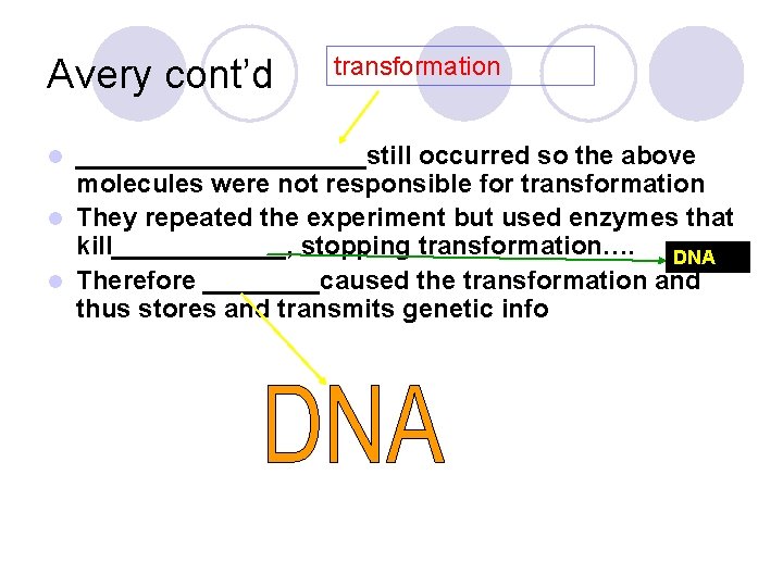 Avery cont’d transformation __________still occurred so the above molecules were not responsible for transformation