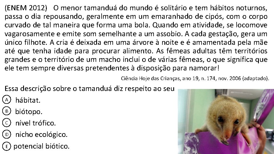 (ENEM 2012) O menor tamanduá do mundo é solitário e tem hábitos noturnos, passa