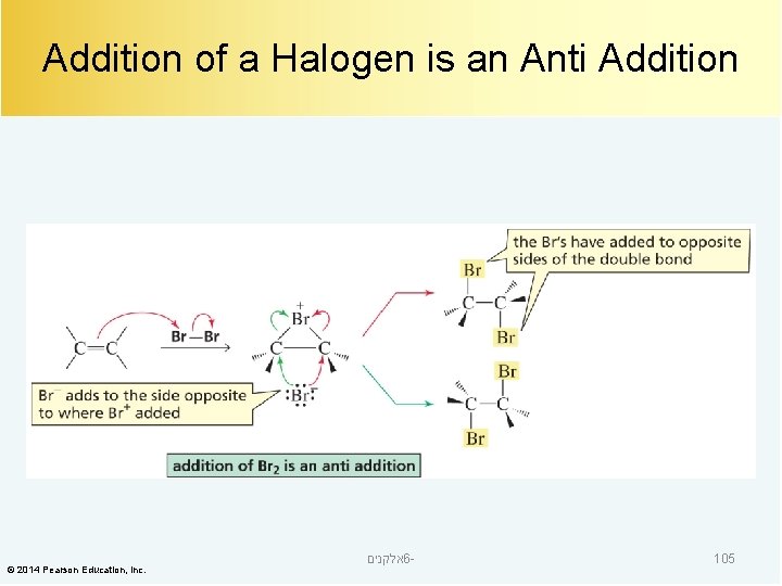 Addition of a Halogen is an Anti Addition © 2014 Pearson Education, Inc. אלקנים