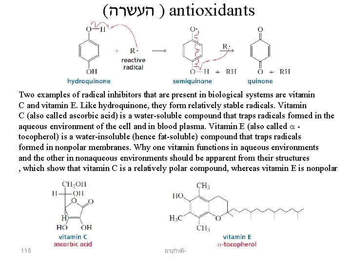 ( ) העשרה antioxidants Two examples of radical inhibitors that are present in biological