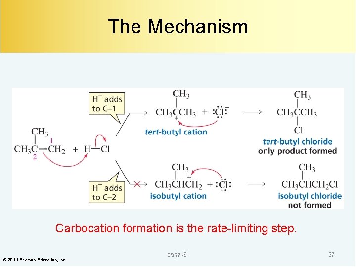 The Mechanism Carbocation formation is the rate-limiting step. © 2014 Pearson Education, Inc. אלקנים