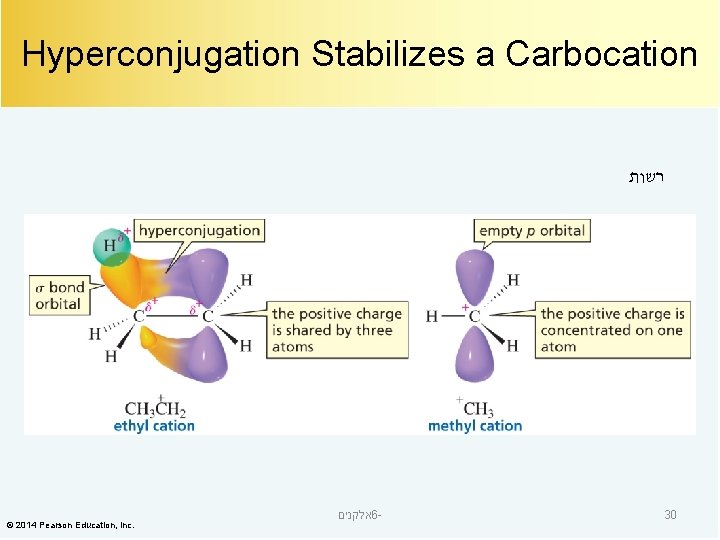 Hyperconjugation Stabilizes a Carbocation רשות © 2014 Pearson Education, Inc. אלקנים 6 - 30