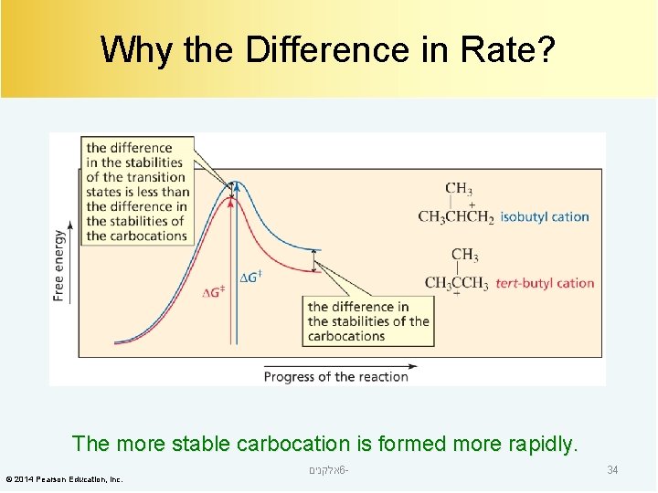 Why the Difference in Rate? The more stable carbocation is formed more rapidly. ©