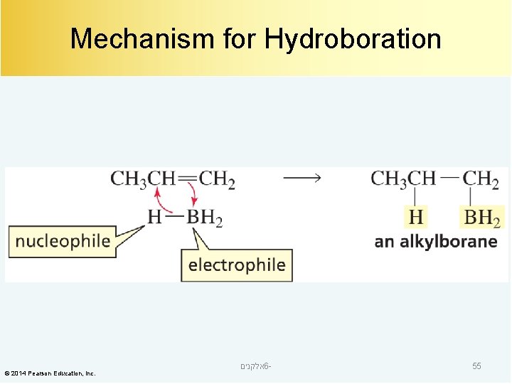 Mechanism for Hydroboration © 2014 Pearson Education, Inc. אלקנים 6 - 55 