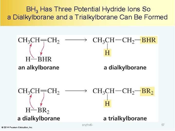 BH 3 Has Three Potential Hydride Ions So a Dialkylborane and a Trialkylborane Can