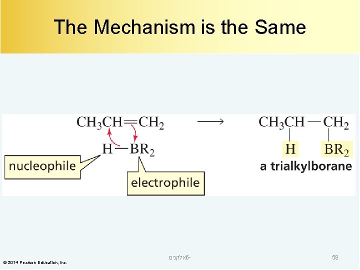 The Mechanism is the Same © 2014 Pearson Education, Inc. אלקנים 6 - 58
