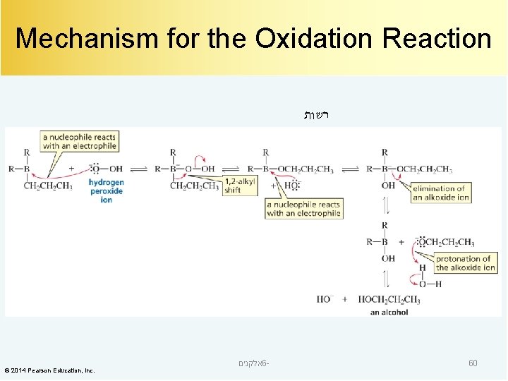 Mechanism for the Oxidation Reaction רשות © 2014 Pearson Education, Inc. אלקנים 6 -