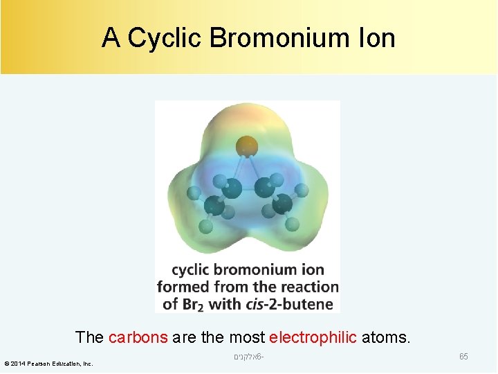 A Cyclic Bromonium Ion The carbons are the most electrophilic atoms. © 2014 Pearson