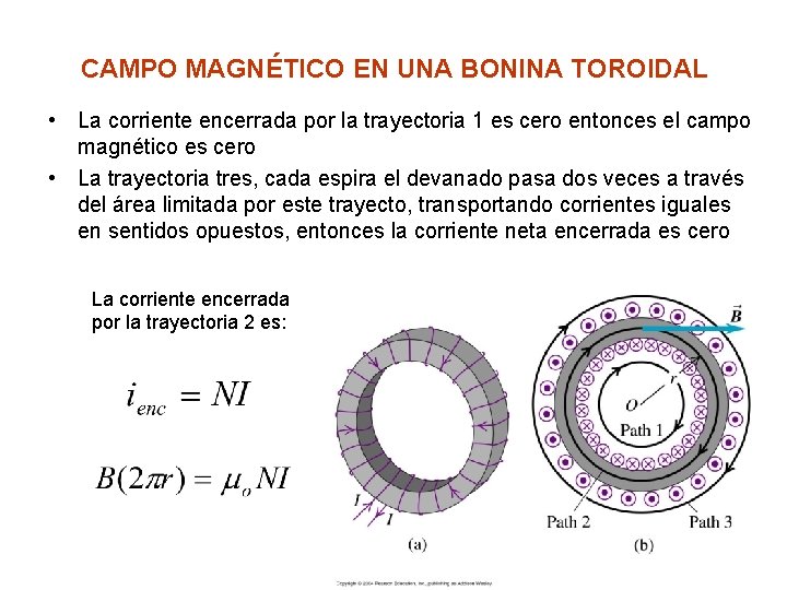 CAMPO MAGNÉTICO EN UNA BONINA TOROIDAL • La corriente encerrada por la trayectoria 1
