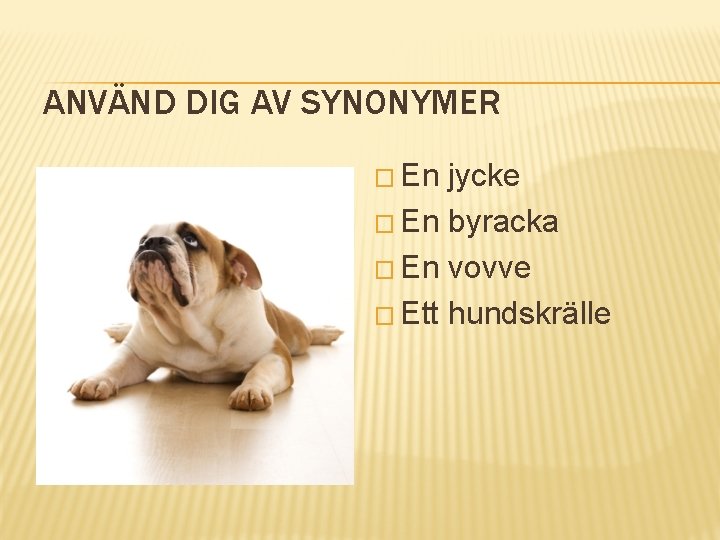 ANVÄND DIG AV SYNONYMER � En jycke � En byracka � En vovve �
