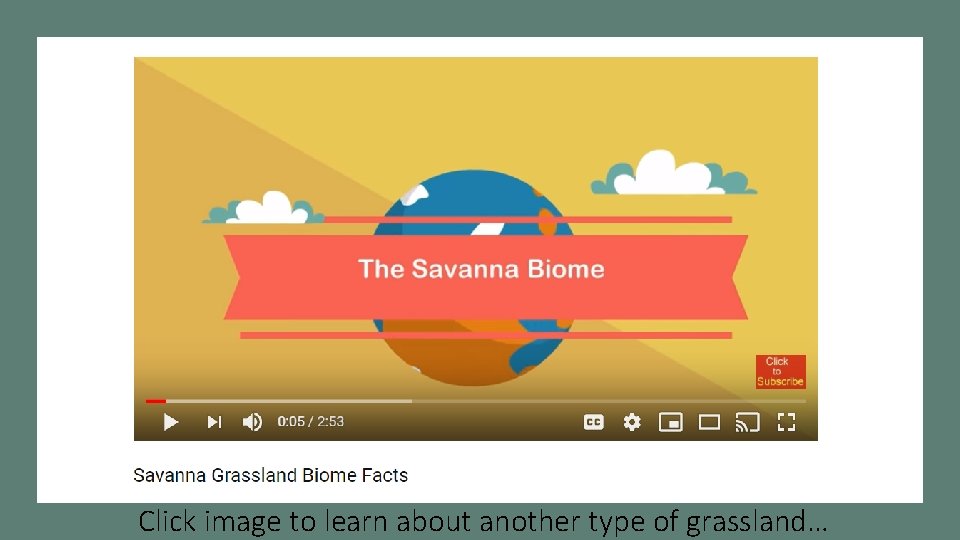 Click image to learn about another type of grassland… 