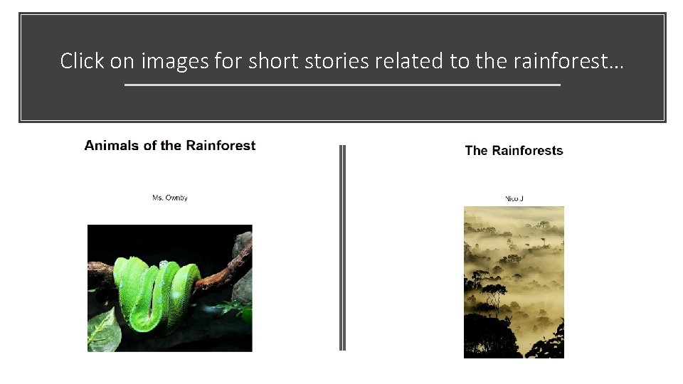 Click on images for short stories related to the rainforest… 