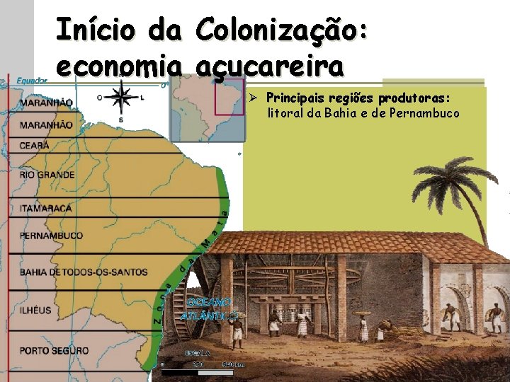 Início da Colonização: economia açucareira Ø Principais regiões produtoras: litoral da Bahia e de