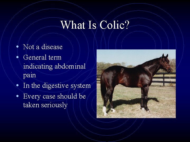 What Is Colic? • Not a disease • General term indicating abdominal pain •