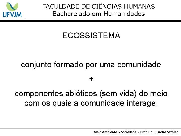 FACULDADE DE CIÊNCIAS HUMANAS Bacharelado em Humanidades ECOSSISTEMA conjunto formado por uma comunidade +