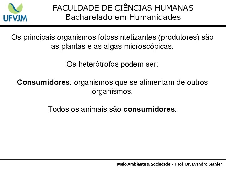 FACULDADE DE CIÊNCIAS HUMANAS Bacharelado em Humanidades Os principais organismos fotossintetizantes (produtores) são as