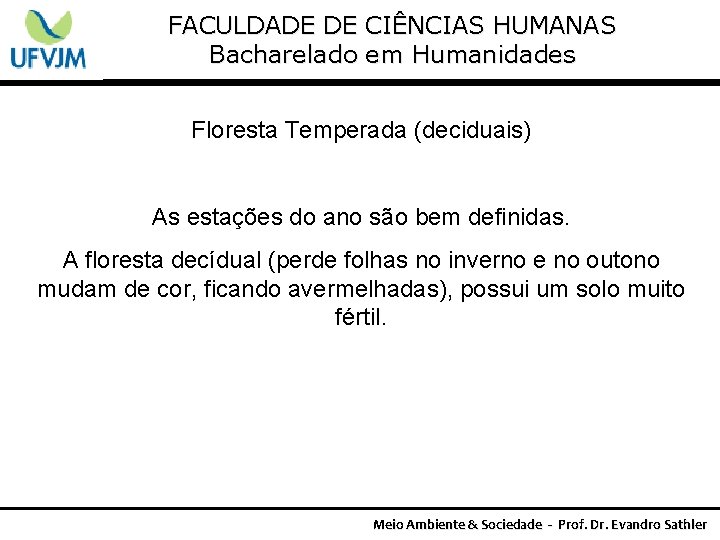 FACULDADE DE CIÊNCIAS HUMANAS Bacharelado em Humanidades Floresta Temperada (deciduais) As estações do ano