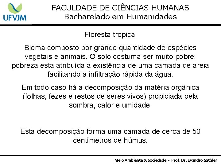 FACULDADE DE CIÊNCIAS HUMANAS Bacharelado em Humanidades Floresta tropical Bioma composto por grande quantidade