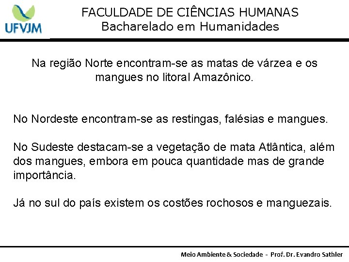 FACULDADE DE CIÊNCIAS HUMANAS Bacharelado em Humanidades Na região Norte encontram-se as matas de