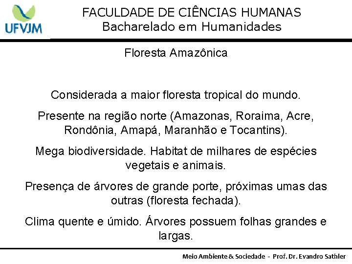 FACULDADE DE CIÊNCIAS HUMANAS Bacharelado em Humanidades Floresta Amazônica Considerada a maior floresta tropical
