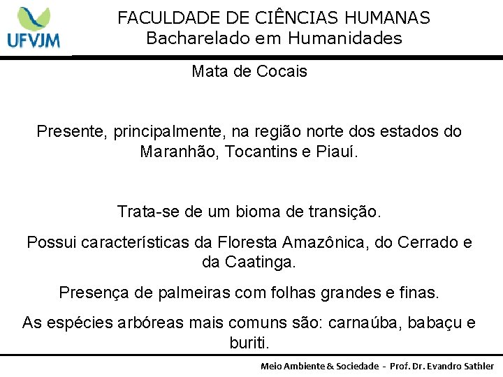 FACULDADE DE CIÊNCIAS HUMANAS Bacharelado em Humanidades Mata de Cocais Presente, principalmente, na região