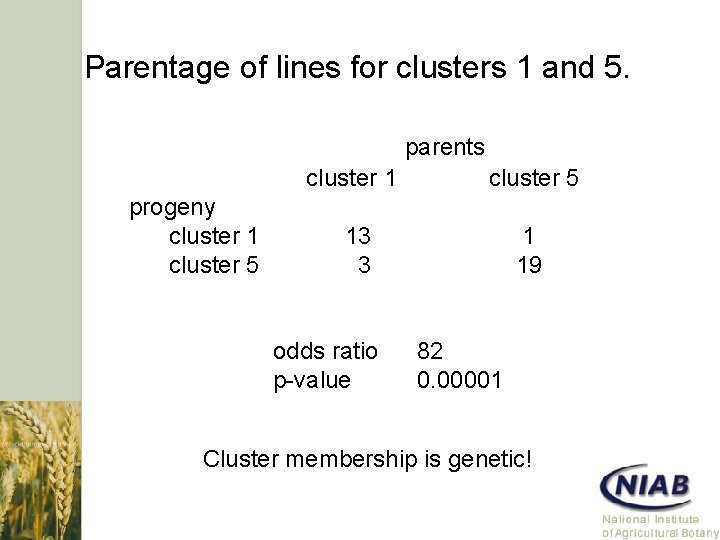 Parentage of lines for clusters 1 and 5. parents progeny cluster 1 cluster 5