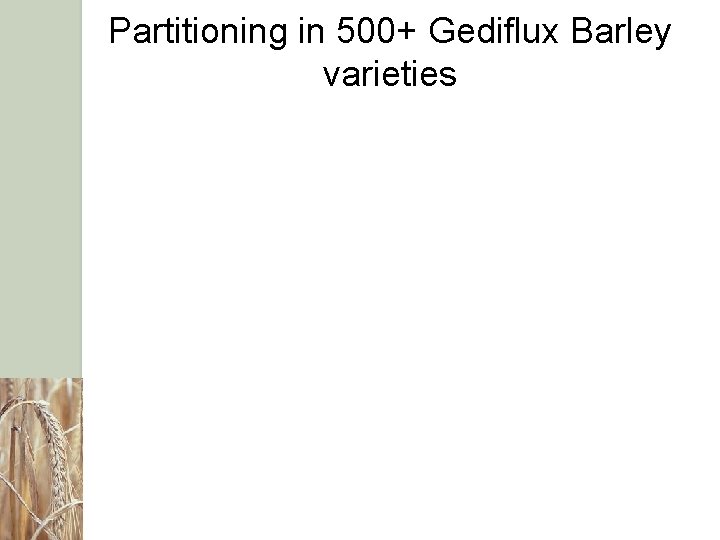 Partitioning in 500+ Gediflux Barley varieties 