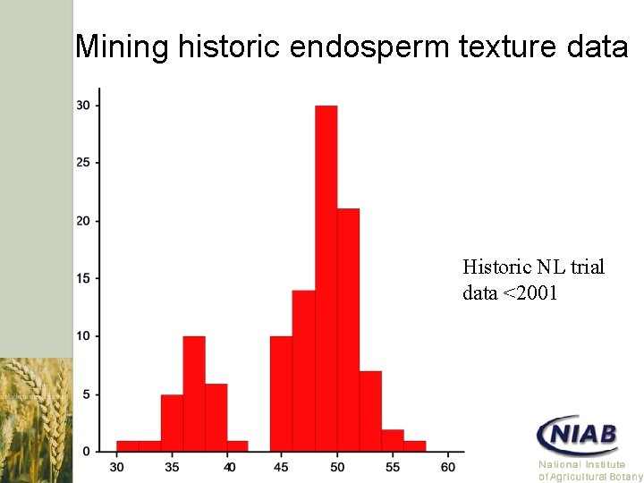 Mining historic endosperm texture data Historic NL trial data <2001 
