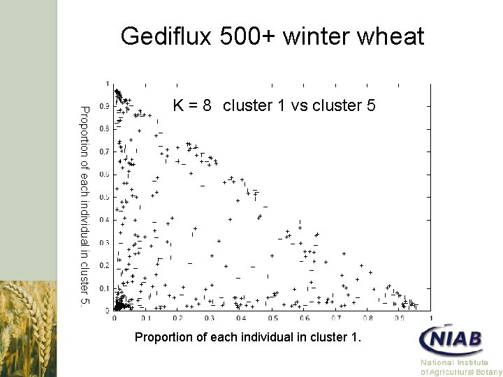 Gediflux 500+ winter wheat Proportion of each individual in cluster 5. K = 8