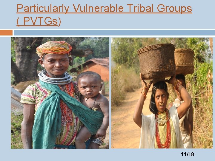 Particularly Vulnerable Tribal Groups ( PVTGs) 11/18 