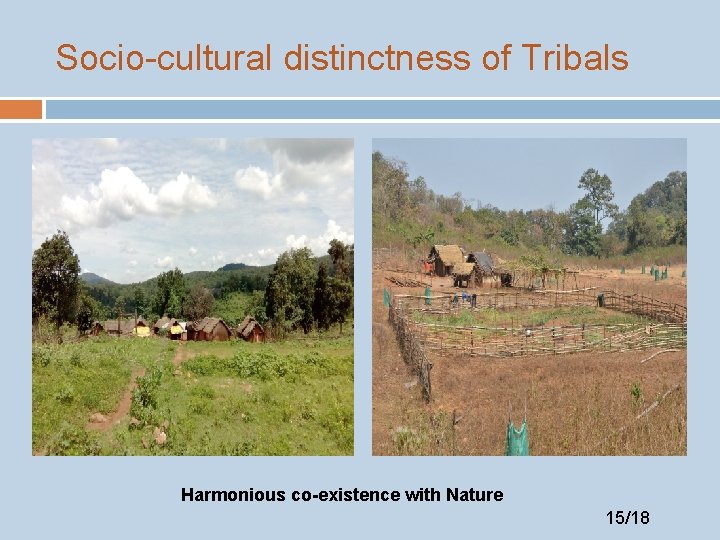 Socio-cultural distinctness of Tribals Harmonious co-existence with Nature 15/18 